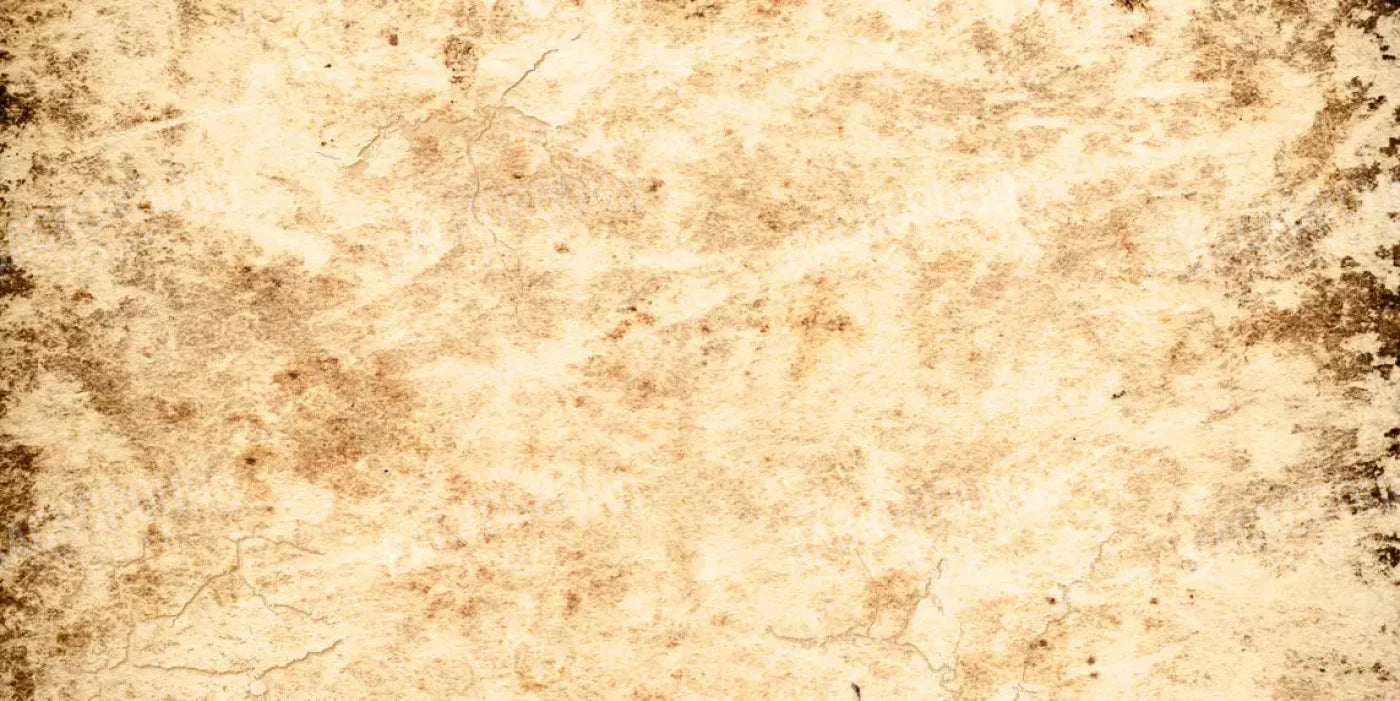 Ancient 20X10 Ultracloth ( 240 X 120 Inch ) Backdrop