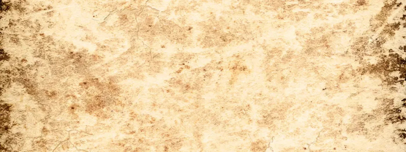 Ancient 20X8 Ultracloth ( 240 X 96 Inch ) Backdrop