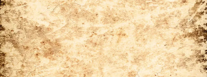 Ancient 20X8 Ultracloth ( 240 X 96 Inch ) Backdrop
