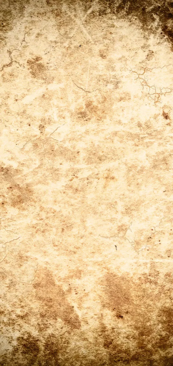 Ancient 8X16 Ultracloth ( 96 X 192 Inch ) Backdrop