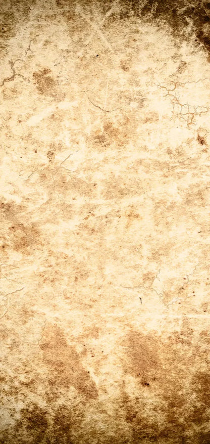 Ancient 8X16 Ultracloth ( 96 X 192 Inch ) Backdrop