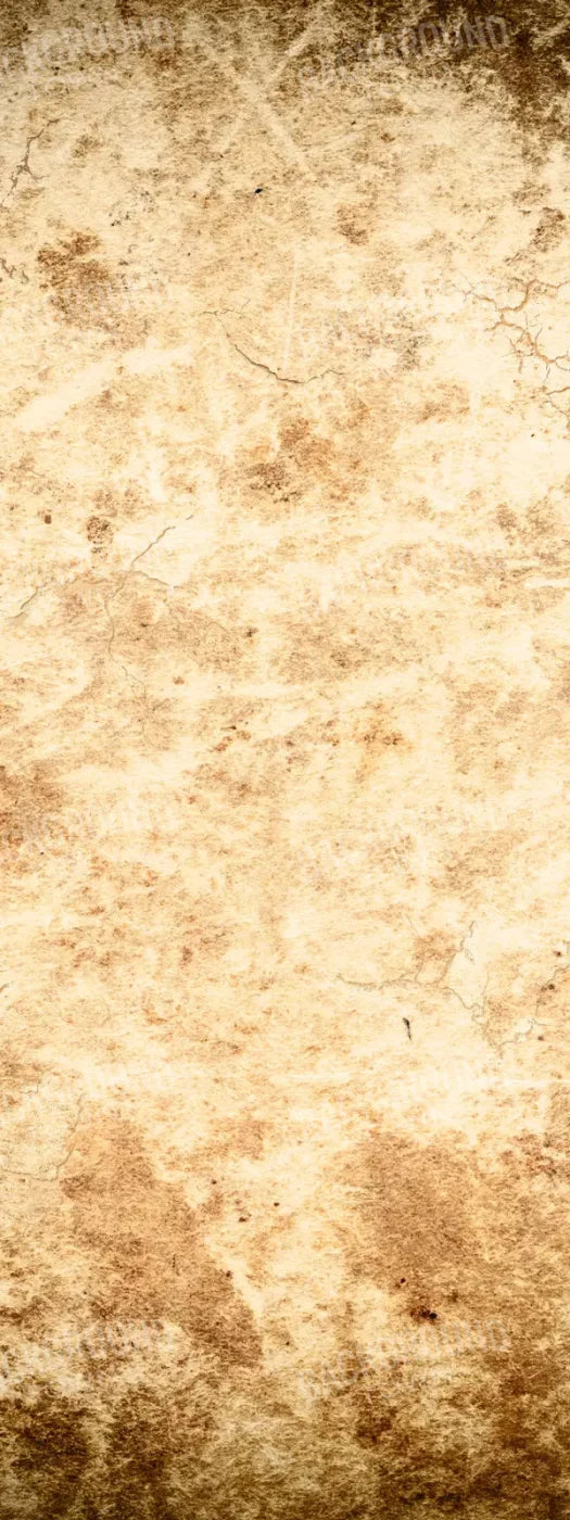 Ancient 8X20 Ultracloth ( 96 X 240 Inch ) Backdrop