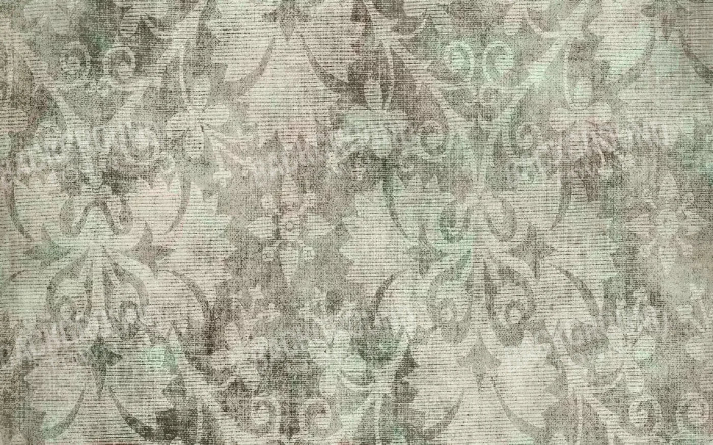 Andes 14X9 Ultracloth ( 168 X 108 Inch ) Backdrop