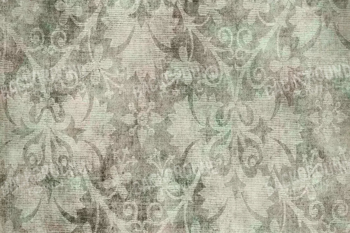 Andes 8X5 Ultracloth ( 96 X 60 Inch ) Backdrop