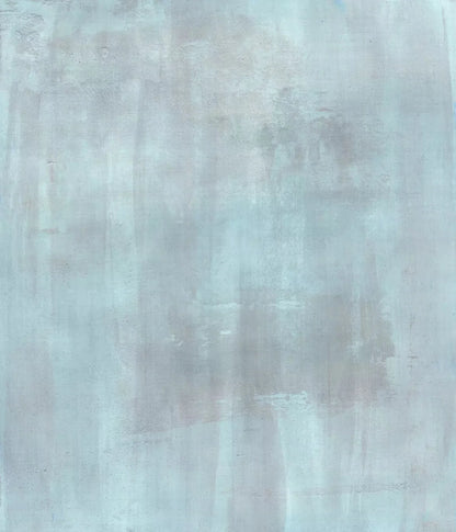 Andre Light 10X12 Ultracloth ( 120 X 144 Inch ) Backdrop