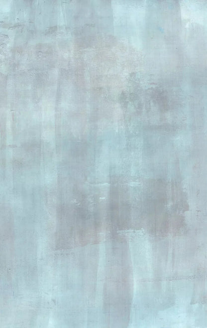 Andre Light 10X16 Ultracloth ( 120 X 192 Inch ) Backdrop