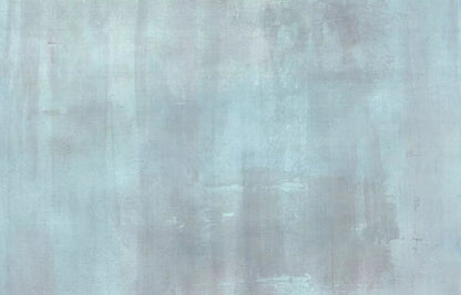 Andre Light 12X8 Ultracloth ( 144 X 96 Inch ) Backdrop