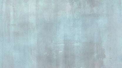Andre Light 14X8 Ultracloth ( 168 X 96 Inch ) Backdrop