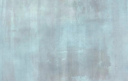 Andre Light 16X10 Ultracloth ( 192 X 120 Inch ) Backdrop
