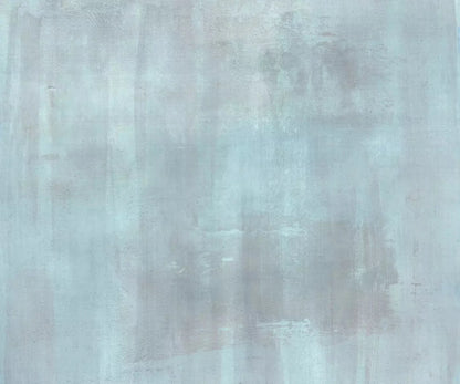 Andre Light 5X42 Fleece ( 60 X 50 Inch ) Backdrop