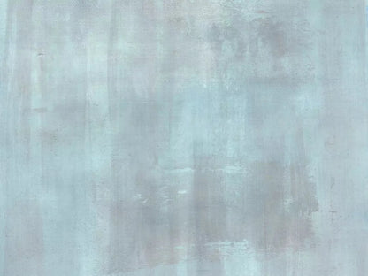 Andre Light 68X5 Fleece ( 80 X 60 Inch ) Backdrop