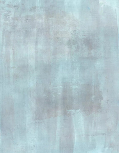 Andre Light 6X8 Fleece ( 72 X 96 Inch ) Backdrop