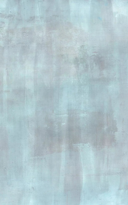 Andre Light 9X14 Ultracloth ( 108 X 168 Inch ) Backdrop