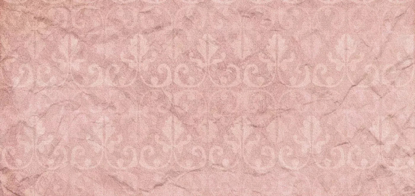 Andrea 16X8 Ultracloth ( 192 X 96 Inch ) Backdrop