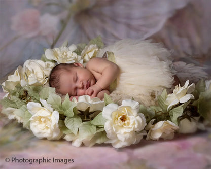 Beige Floral Backdrop for Photography