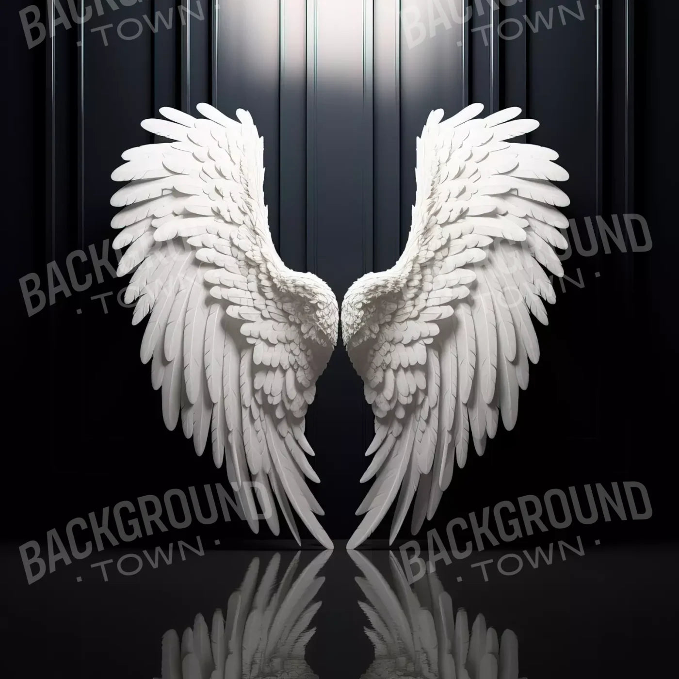 Angel Wings 8X8 Fleece ( 96 X Inch ) Backdrop