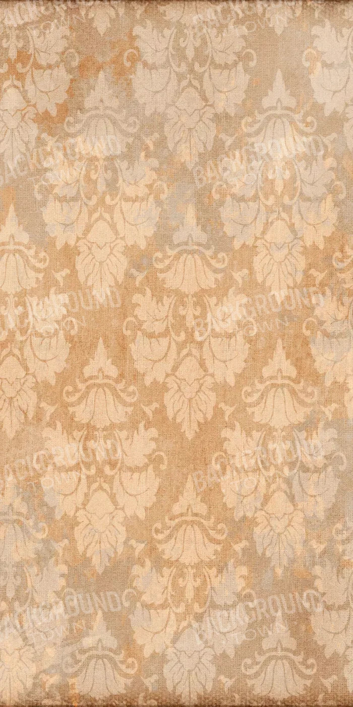 Anita 10X20 Ultracloth ( 120 X 240 Inch ) Backdrop
