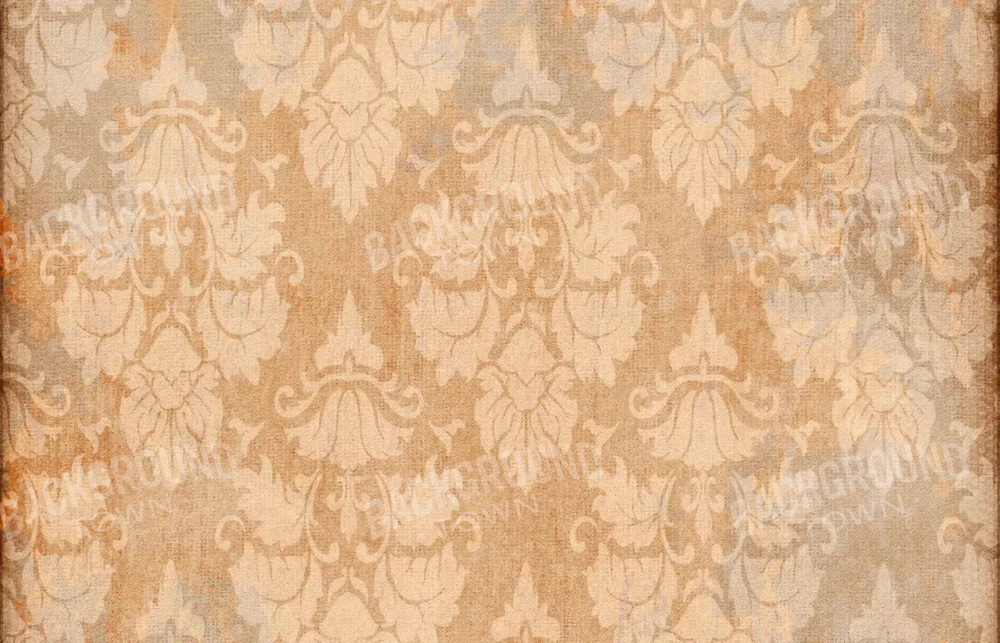 Anita 12X8 Ultracloth ( 144 X 96 Inch ) Backdrop