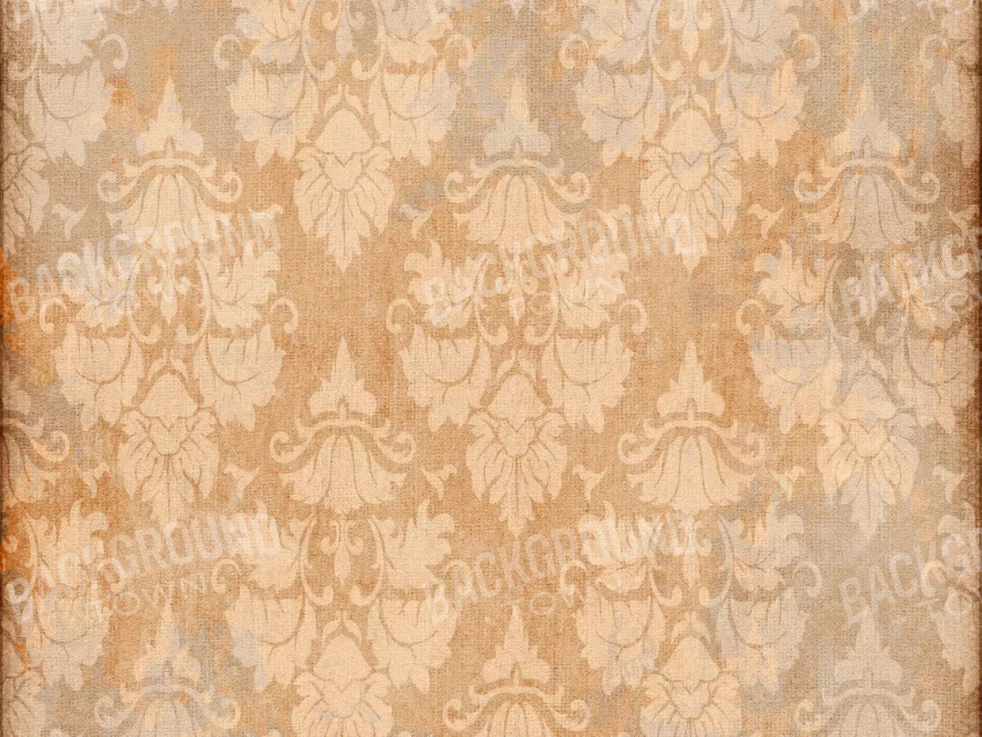 Anita 68X5 Fleece ( 80 X 60 Inch ) Backdrop