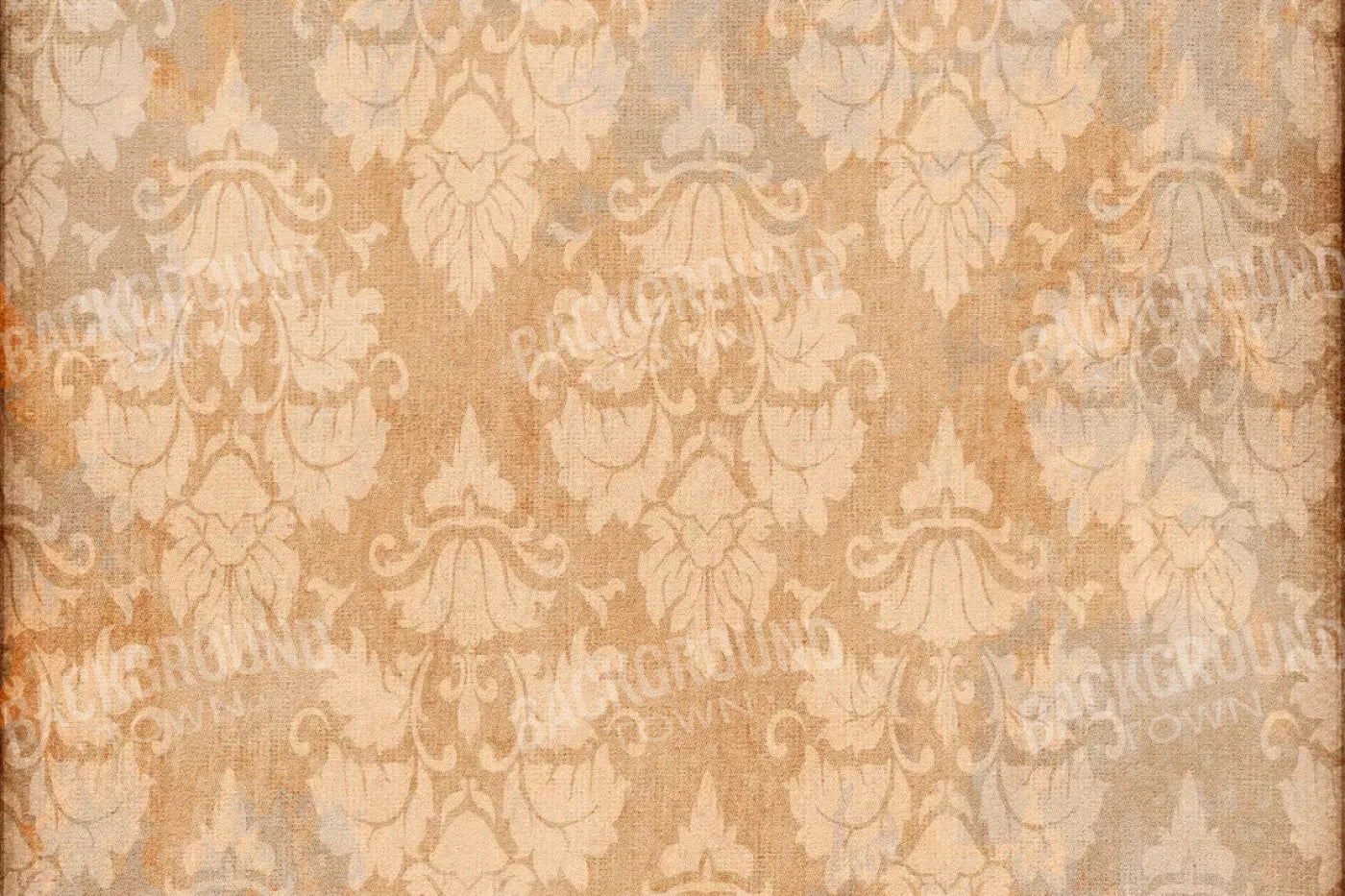 Anita 8X5 Ultracloth ( 96 X 60 Inch ) Backdrop