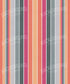 Multi-Color Pattern Backdrop for Photography