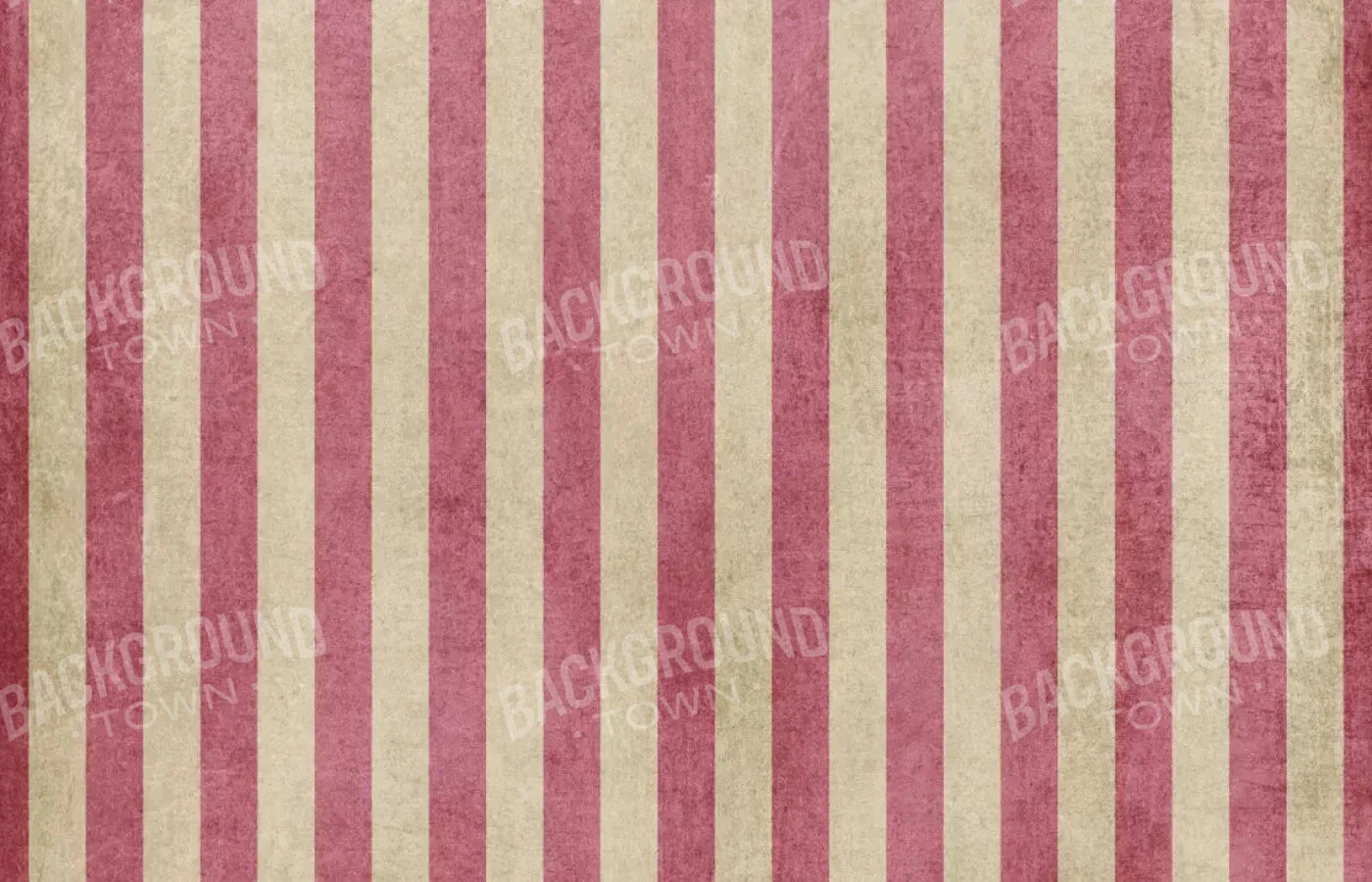 Annette 12X8 Ultracloth ( 144 X 96 Inch ) Backdrop