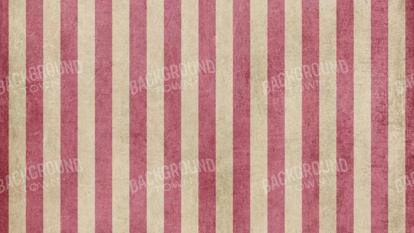 Annette 14X8 Ultracloth ( 168 X 96 Inch ) Backdrop