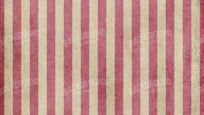 Annette 14X8 Ultracloth ( 168 X 96 Inch ) Backdrop