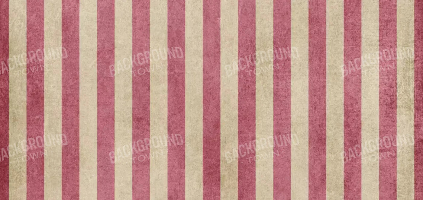 Annette 16X8 Ultracloth ( 192 X 96 Inch ) Backdrop
