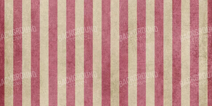 Annette 20X10 Ultracloth ( 240 X 120 Inch ) Backdrop