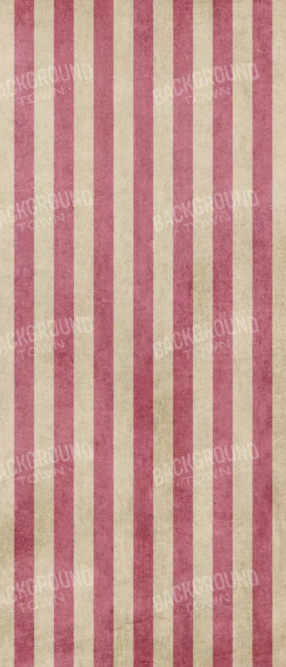 Annette 5X12 Ultracloth For Westcott X-Drop ( 60 X 144 Inch ) Backdrop