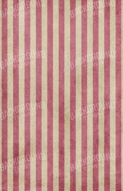 Annette 8X12 Ultracloth ( 96 X 144 Inch ) Backdrop