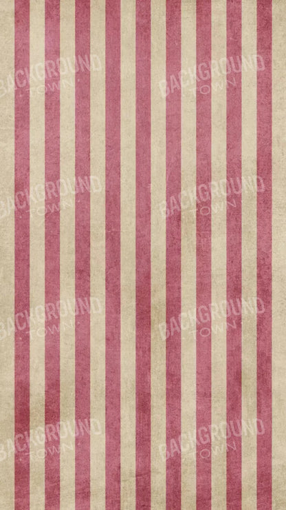 Annette 8X14 Ultracloth ( 96 X 168 Inch ) Backdrop