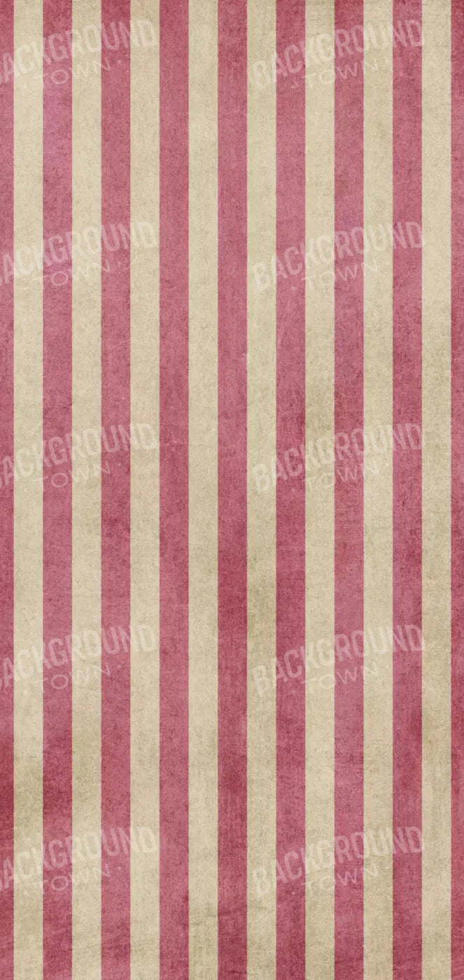 Annette 8X16 Ultracloth ( 96 X 192 Inch ) Backdrop