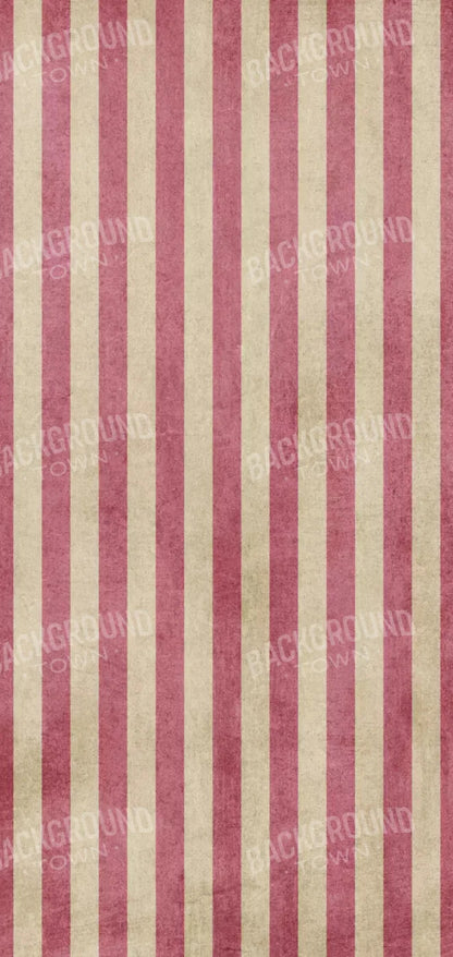 Annette 8X16 Ultracloth ( 96 X 192 Inch ) Backdrop