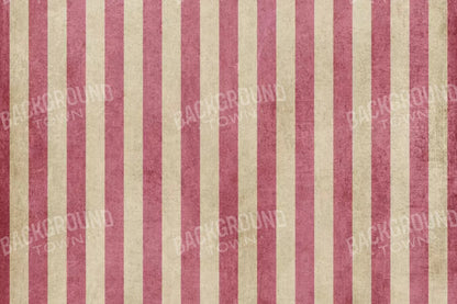 Annette 8X5 Ultracloth ( 96 X 60 Inch ) Backdrop