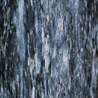 Anomoly 10X10 Ultracloth ( 120 X Inch ) Backdrop