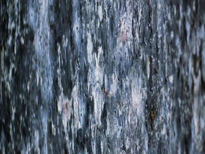 Anomoly 10X8 Fleece ( 120 X 96 Inch ) Backdrop