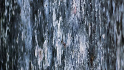 Anomoly 14X8 Ultracloth ( 168 X 96 Inch ) Backdrop
