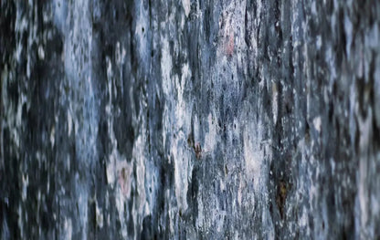 Anomoly 16X10 Ultracloth ( 192 X 120 Inch ) Backdrop