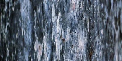 Anomoly 20X10 Ultracloth ( 240 X 120 Inch ) Backdrop