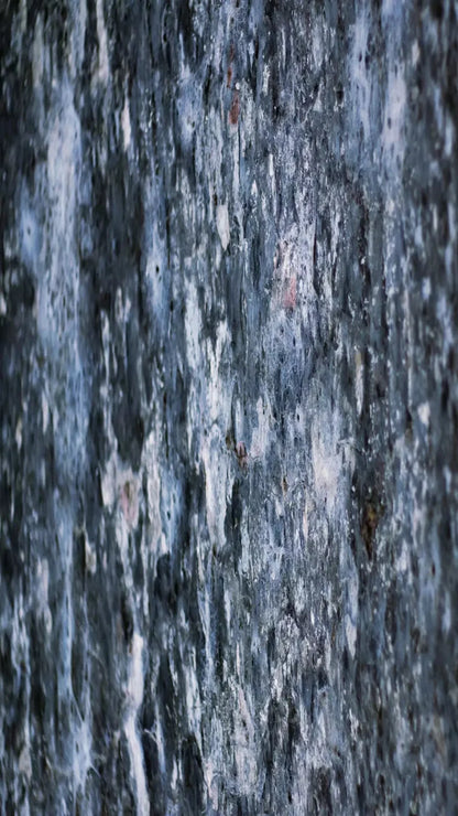 Anomoly 8X14 Ultracloth ( 96 X 168 Inch ) Backdrop