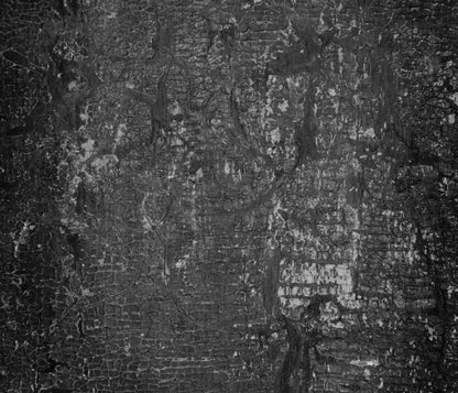 Antique Onyx 12X10 Ultracloth ( 144 X 120 Inch ) Backdrop