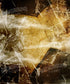 Brown Sports Backdrop for Photography