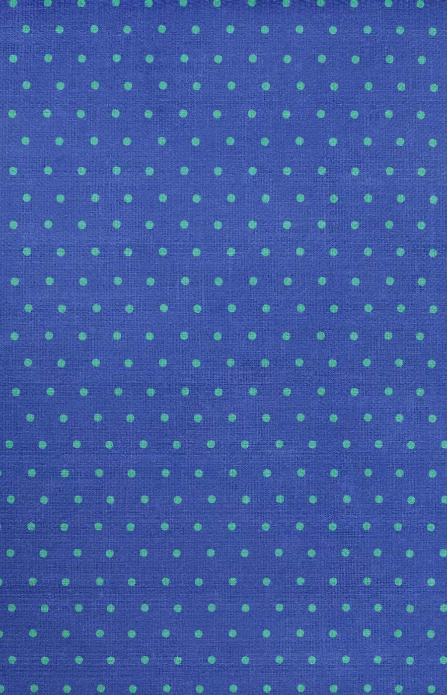 Antonio 8X12 Ultracloth ( 96 X 144 Inch ) Backdrop