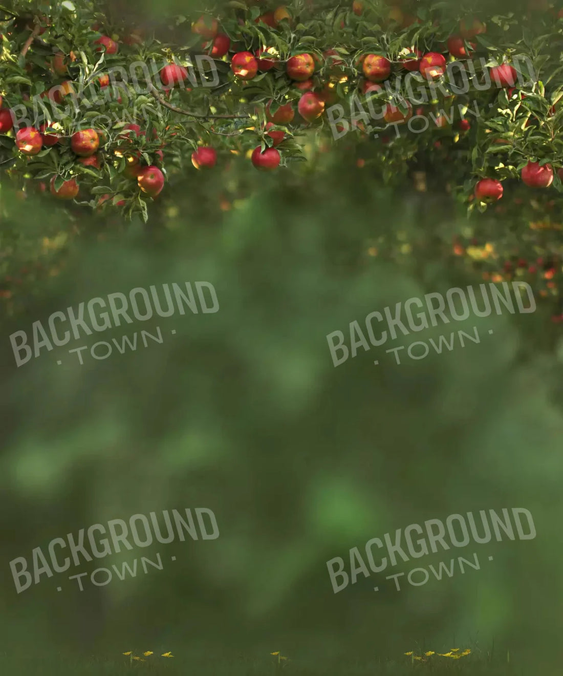Apple Tree Orchard Backdrop for Photography