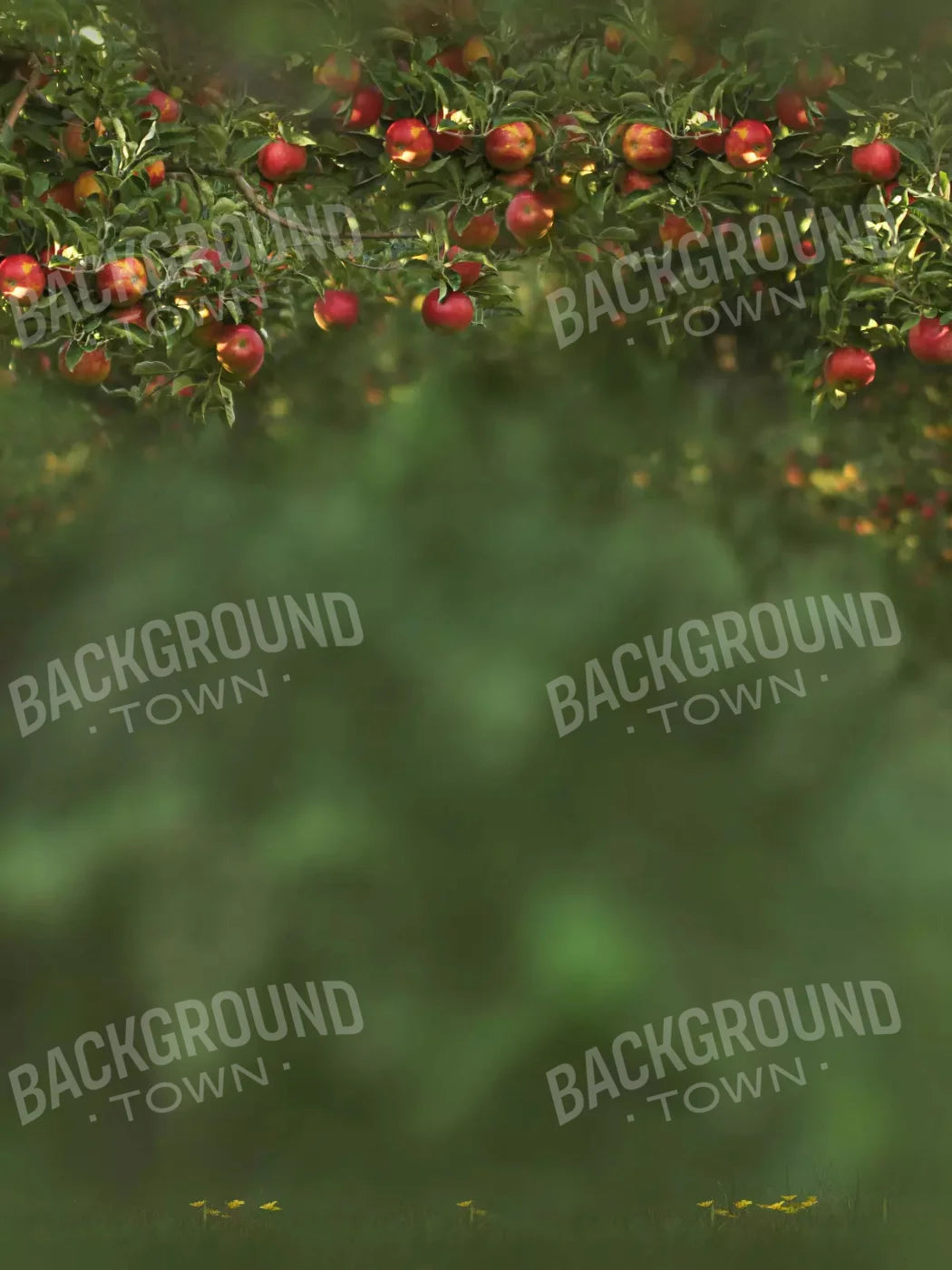 Apple Tree 5X68 Fleece ( 60 X 80 Inch ) Backdrop