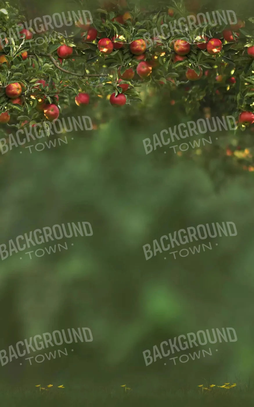 Apple Tree 9X14 Ultracloth ( 108 X 168 Inch ) Backdrop