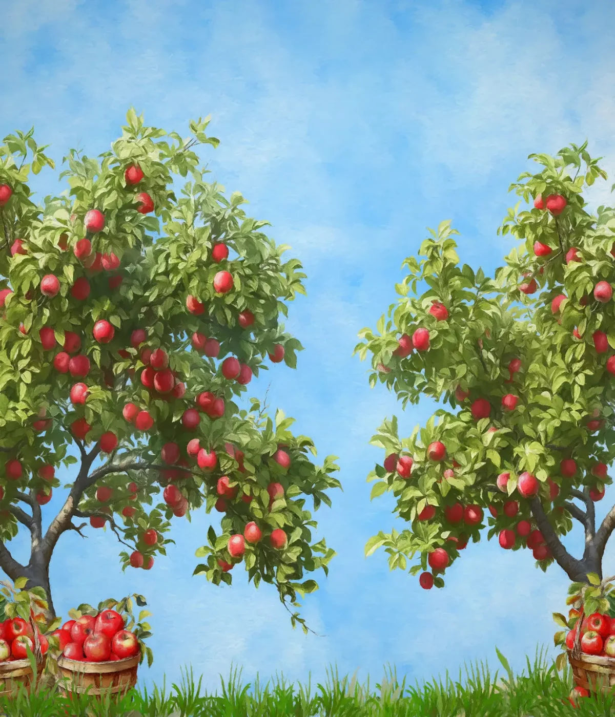 Apple Trees At Grandmas 10X12 Ultracloth ( 120 X 144 Inch ) Backdrop