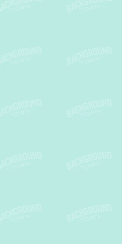 Arctic 10X20 Ultracloth ( 120 X 240 Inch ) Backdrop